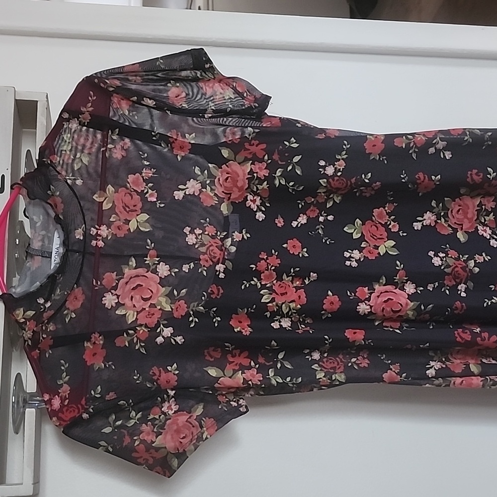 Woman's sheer dress